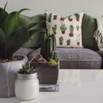 Winter Decor Ideas