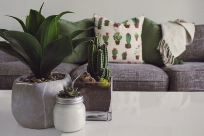 Winter Decor Ideas